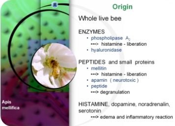 apis
